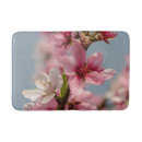 Recherche de sakura photographie Floral