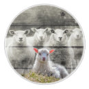 Recherche de mouton boutons et poignées de porte Agneau