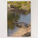 Recherche de alligator puzzles Faune