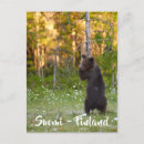 Zoek naar finse briefkaarten Finland