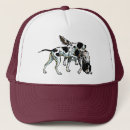 Recherche de hunting hats Dog