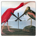 Zoek naar audubon klokken John james audubon