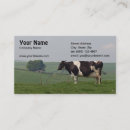 Recherche de vaches laitières cartes visite Bétail