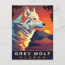 Zoek naar grijze wolf briefkaarten Alaska