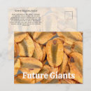 Recherche de séquoias géants cartes postales Arbres