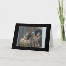 Zoek naar valken kaarten Wild