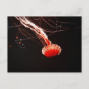 Recherche de ortie cartes postales Mer