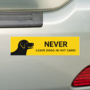 Recherche de animals voiture autocollants Jaune