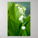 Recherche de muguet art Nature