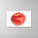 Recherche de pomme rouge art Fruit