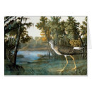 Recherche de jules bien Oiseaux