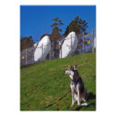 Recherche de chien bleu posters Dog