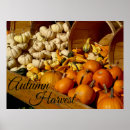 Recherche de courge posters Récolte