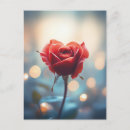 Recherche de coeur rose rouge cartes postales Jour des valentines