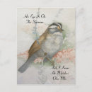 Recherche de moineaux cartes postales Peinture aquarelle