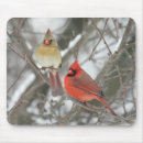 Recherche de cardinal du nord électronique Animal