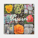 Recherche de fleurs de cactus magnets Rose