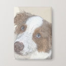Recherche de berger australien badges Dog