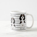 Recherche de epagneul tasses Cavalier
