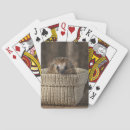Recherche de hérisson jeux de cartes Mammifère