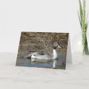 Recherche de aquatique vœux cartes Pour lui