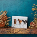 Recherche de cheval islandais plaques Hiver
