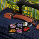 Recherche de zinnia Noir