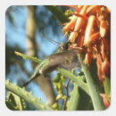 Recherche de manne autocollants Colibri