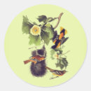 Recherche de audubon autocollants Nature