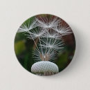 Recherche de graine badges Pour tous