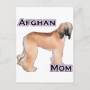 Recherche de afghans cartes postales Hacher