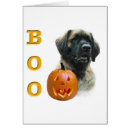 Recherche de leonberger Dog