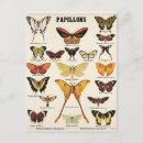 Recherche de illustrations cartes postales Nature