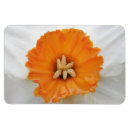 Recherche de jonquille magnets Fleurs