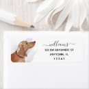 Zoek naar dachshund etiketten Hond