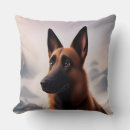 Recherche de malinois coussins Animal