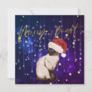 Recherche de chat siamois vœux cartes Amoureux des chats