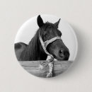 Zoek naar paarden buttons Bruin