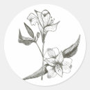 Recherche de julia autocollants Artiste julia morrill