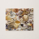Recherche de mollusque puzzles Océan