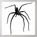 Recherche de arachnide art Illustration