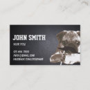 Recherche de carlin cartes visite Animal familier