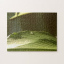 Recherche de banane puzzles Feuille