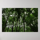 Recherche de levant posters Photographie