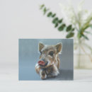Recherche de porc sauvage cartes postales Animal