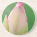 Recherche de nénuphar dessous de verres Flore