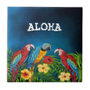 Recherche de perroquet bleu carreaux Tropical