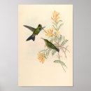 Recherche de oiseaux vintages art Colibri