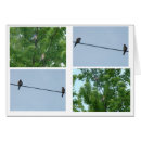 Recherche de collage numérique photographie Nature