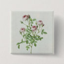Recherche de rosa badges Fleurs